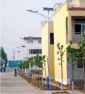 新農(nóng)村_5米太陽能路燈
