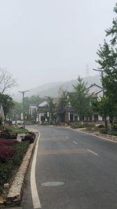 【定制特色路燈案例】長興縣八都岕十里銀杏景區特色路燈