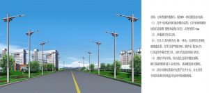 【定制路燈案例】新疆阿拉爾經(jīng)濟(jì)開發(fā)區(qū)路燈工程